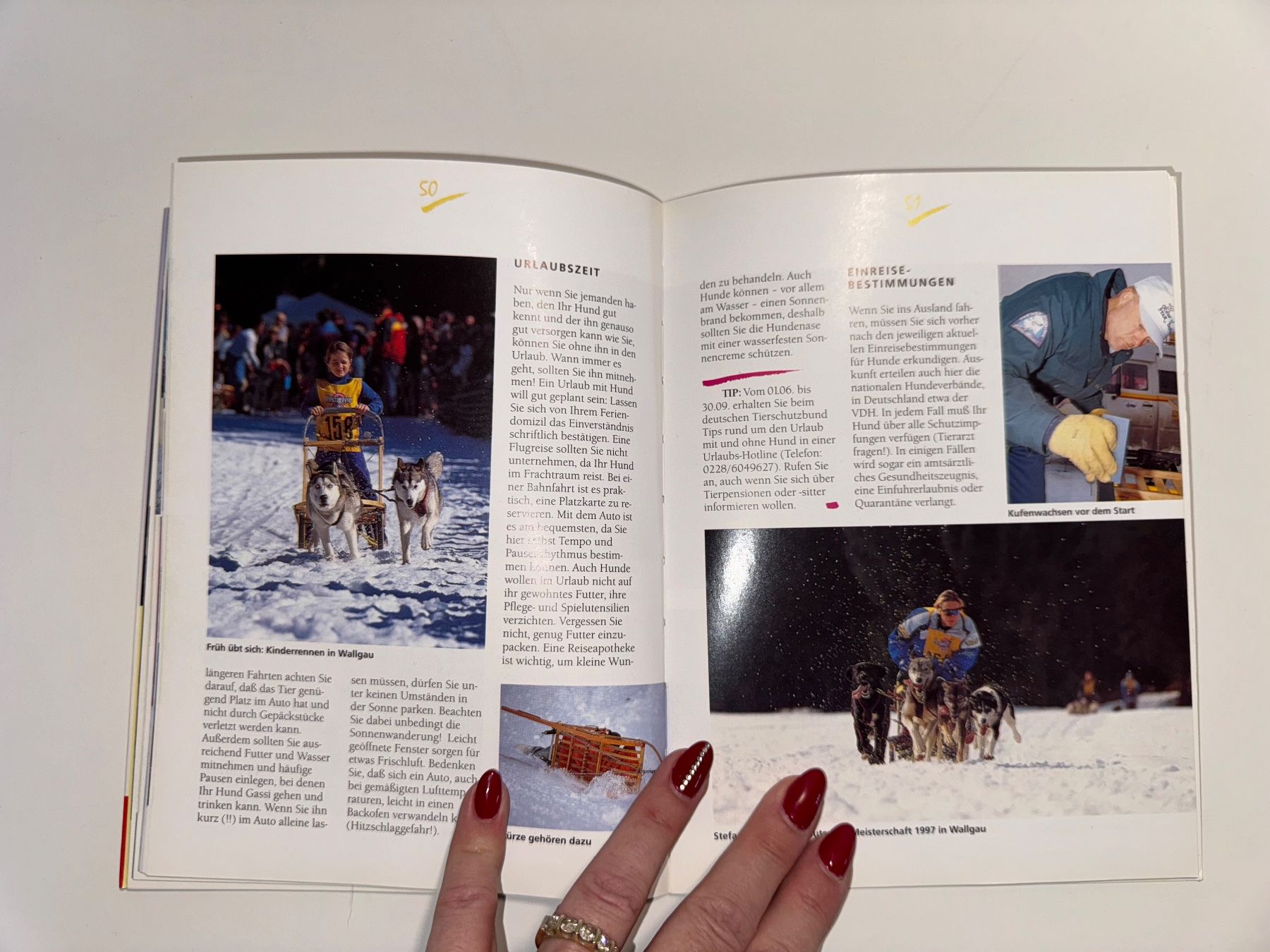 Libri: BUCH: Schlittenhunde – Usato da Grosswangen venduto da Second_hand_paradise 4