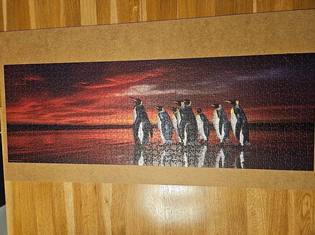 Heye Puzzle: 1000er Puzzle Pinguine – Nuovo (secondo la descrizione) da Rheineck venduto da Freibach9424