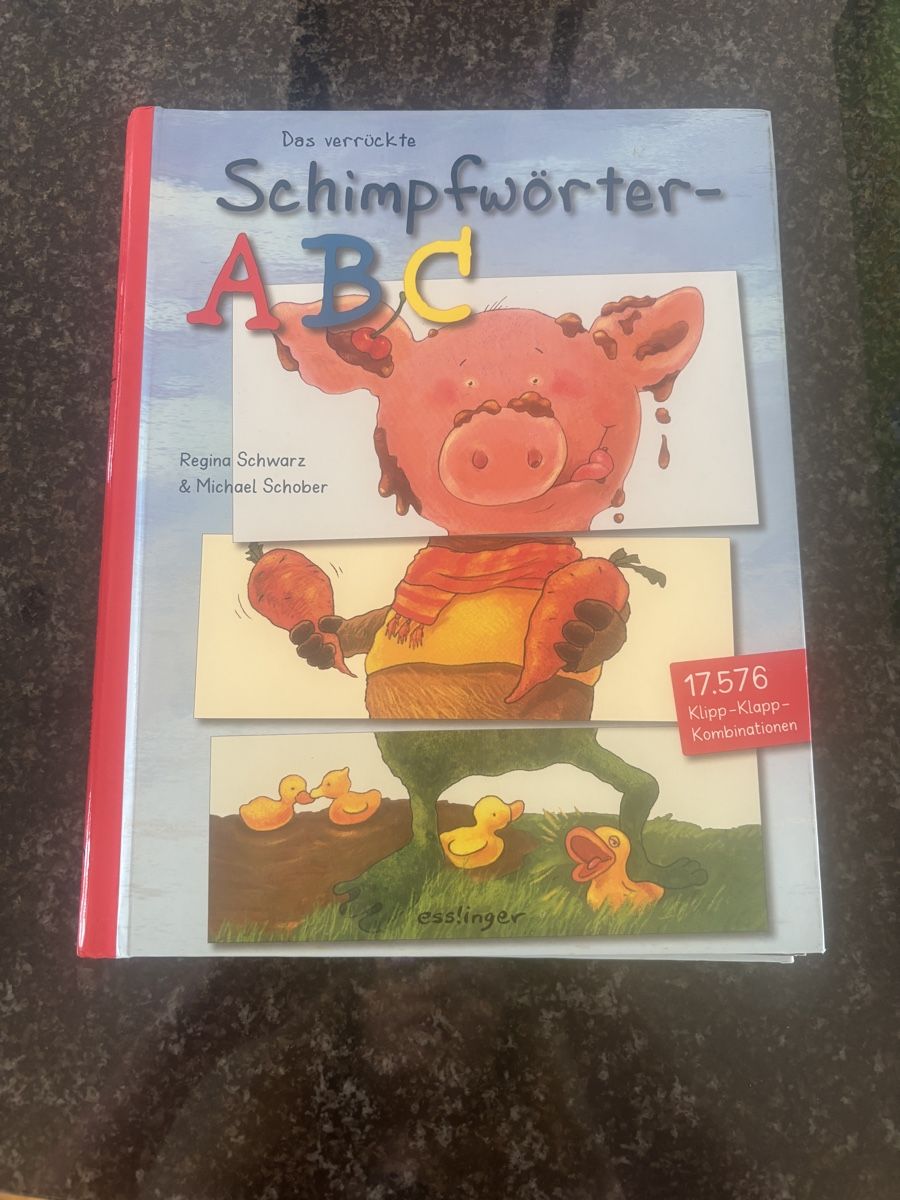 Libri: Das verrückte Schimpfwörter-ABC Kinderbuch – Usato da Grosswangen venduto da Sunnyday35