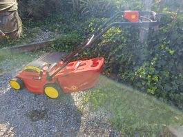 Wolf Rasenmäher BJ117MT