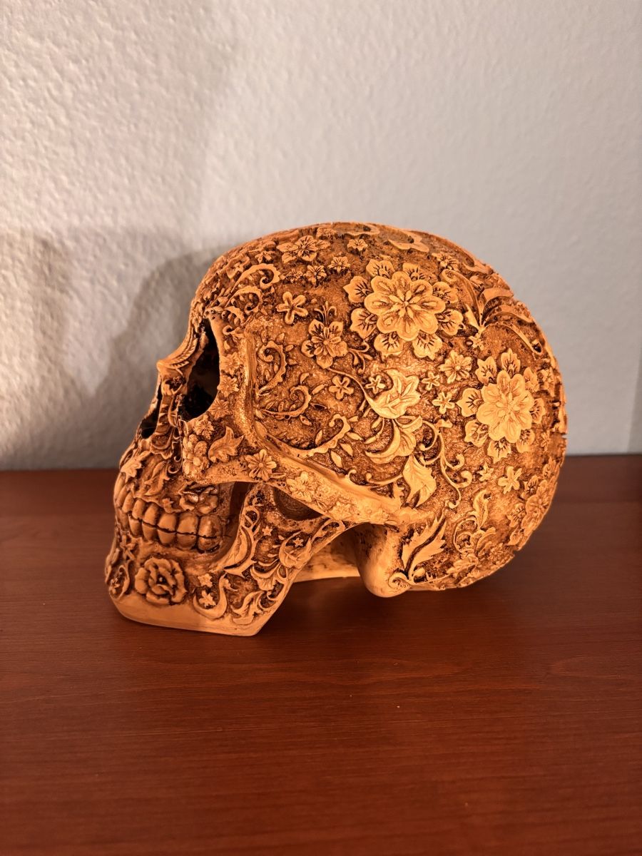 Alle Dekorationen: TOTENKOPF DEKO – Neu (gemäss Beschreibung) aus Arlesheim von MR_M_B 1