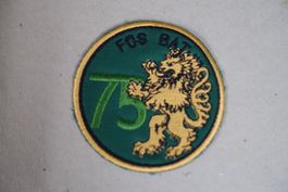 Badge Schweizer Armee Füs Bat 75