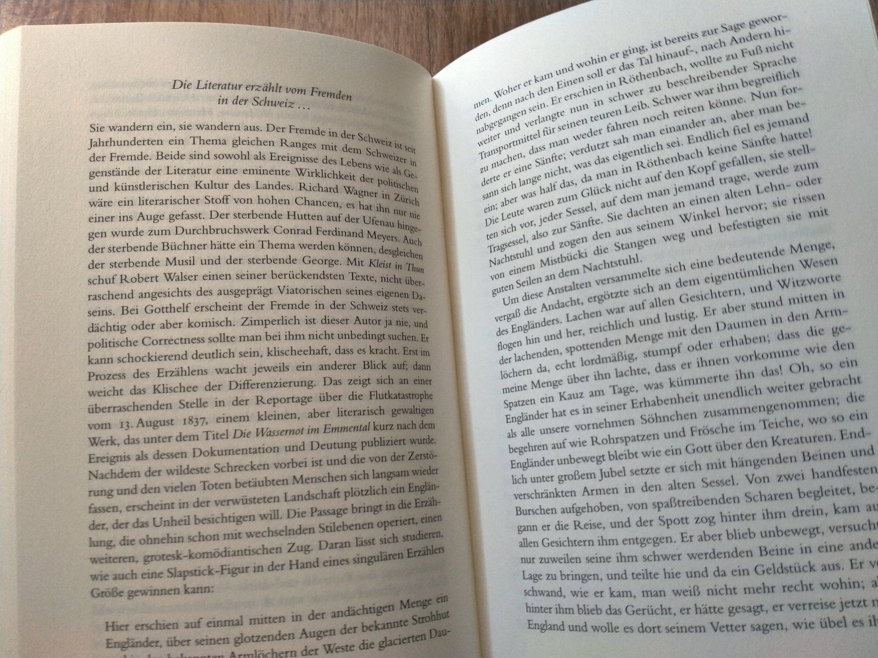 Livres: Peter von Matt Buch Das Kalb vor der Gotthardpost – D'occasion à Küssnacht am Rigi par perlboote 3