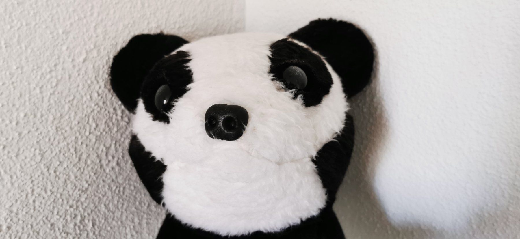 Giocattoli: PANDABÄR KUNSTFELL SCHWARZ-WEISS CA 46 CM – Usato da Aadorf venduto da lisepeter 2