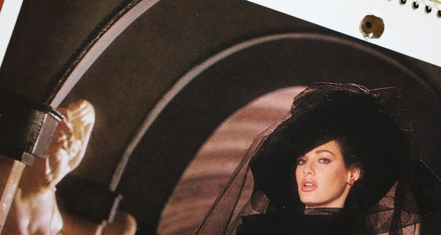 Playboy Calendari: PLAYBOY Kalender 1984 – Usato da Birrwil venduto da brandschatz_birrwil 7