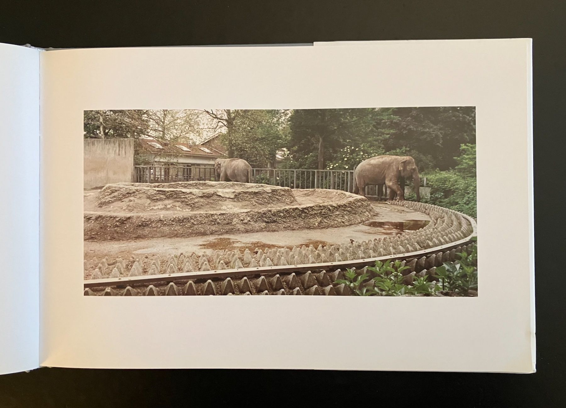 Libri: candida höfer . zoologische gärten – Usato da Basel venduto da cosmos.books 6