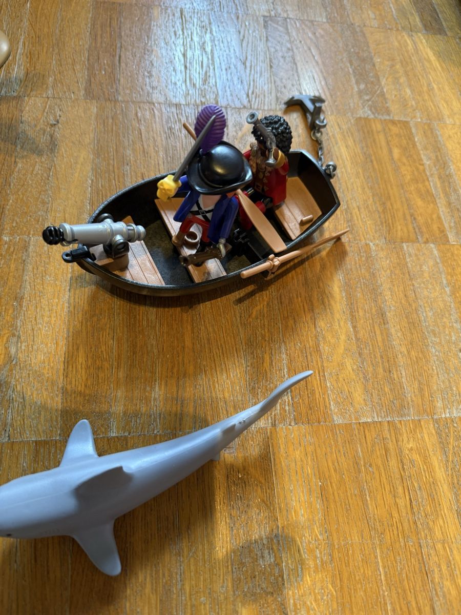 Playmobil Giocattoli: Playmobil Schatzinsel – Usato da Zürich venduto da amicitia_77 5