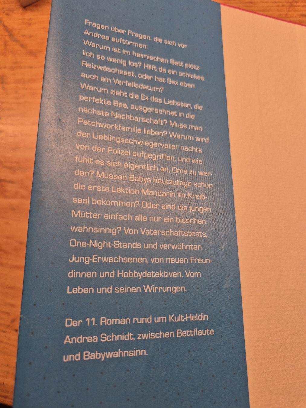 Libri: Abgetaucht - Susanne Fröhlich  – Usato da Steinen venduto da sius21 2