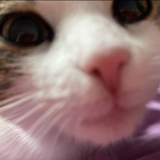 Profile image of lea_k2vq