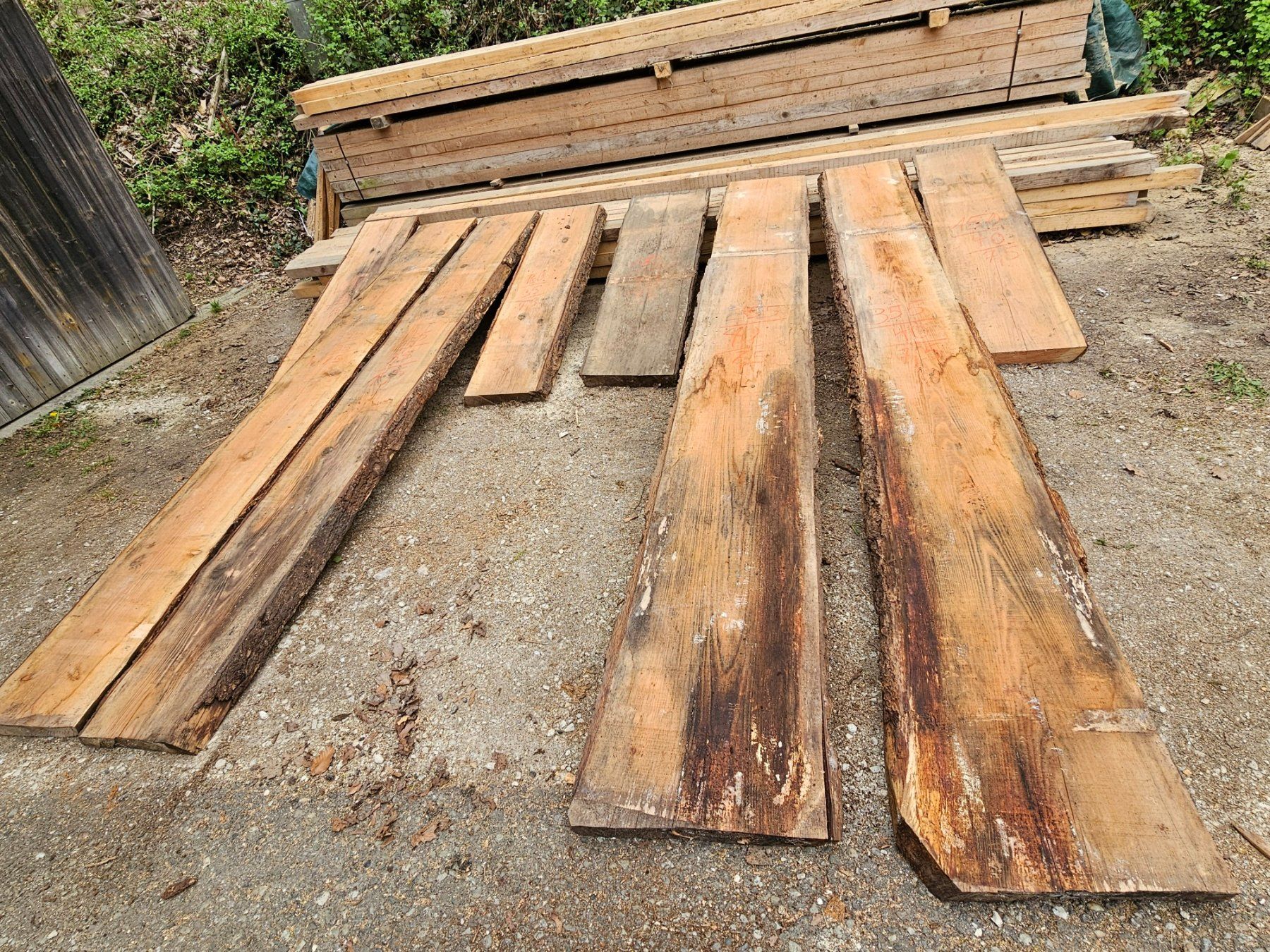 Articoli in legno: Douglasienholz – Nuovo (secondo la descrizione) da Aarburg venduto da Joerg.Andre 2