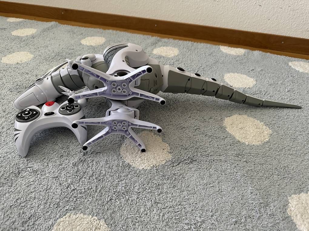 Giocattoli: Roboter Dino 80cm mit Fernbedienung  – Usato da Basel venduto da Spielzeugverkauf 2