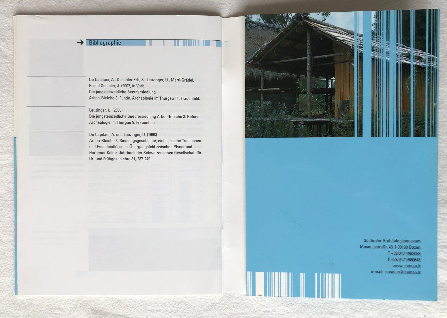 Libri: Seesicht, verbaut... – Usato da St.Gallen venduto da Paddington11 8