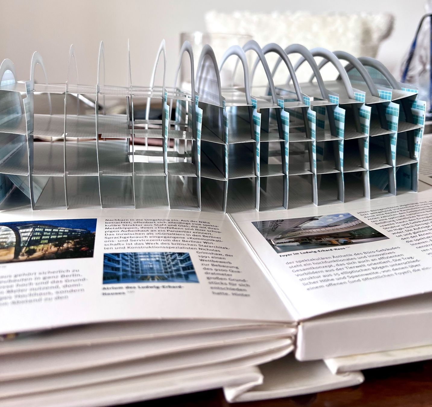 Libri: Buch (Leporello) – Usato da Bülach venduto da jr9_7jrr 2