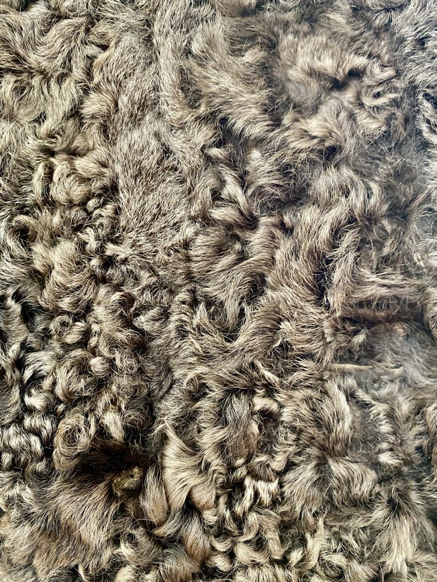 Jacken: LEONARDO klassische Winter Jacke Grösse 36 – Gebraucht aus Widnau von Kamfiloulove 4