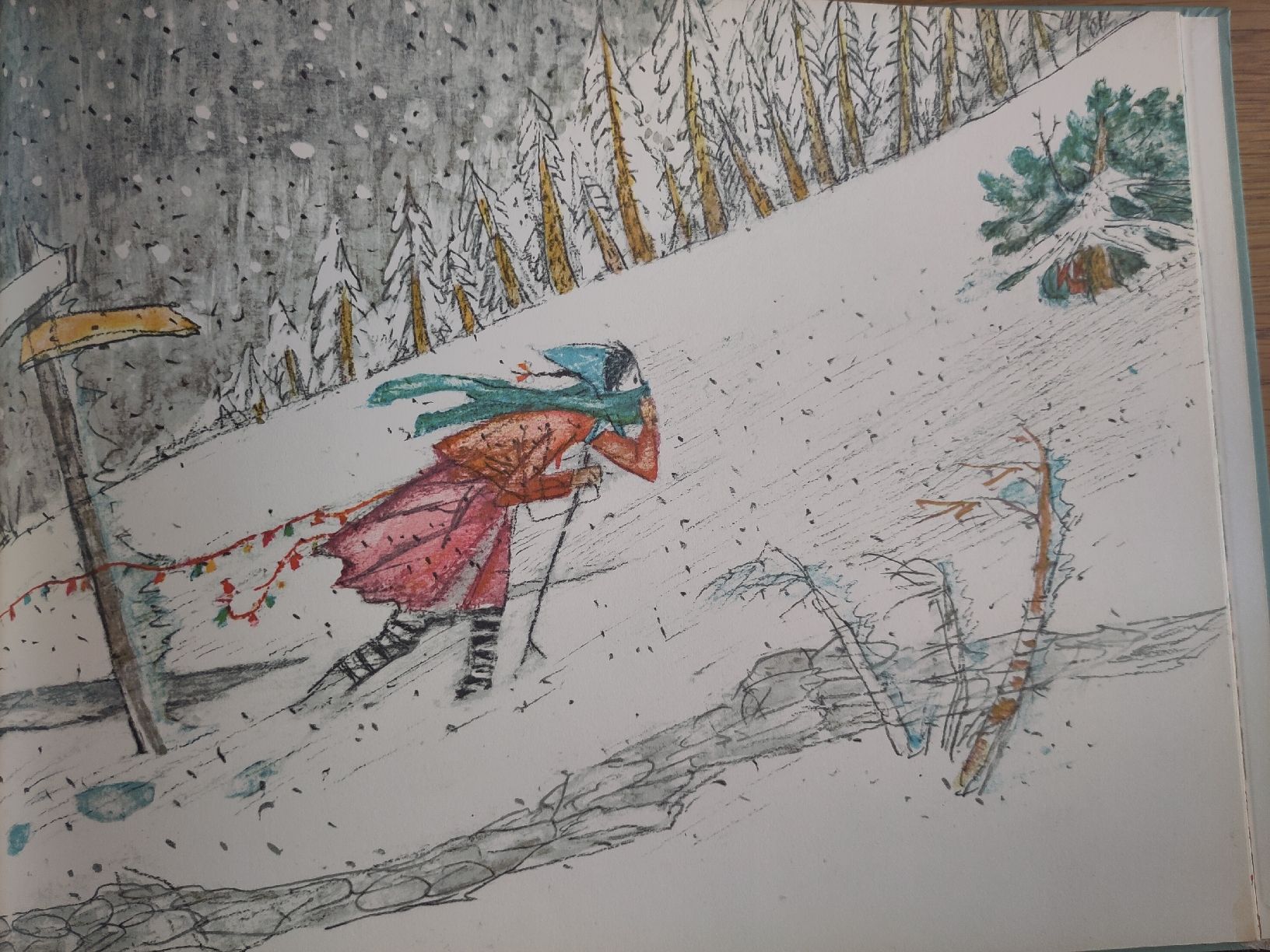 Libri: Der grosse Schnee, 3. Auflage  – Usato da Basel venduto da Morgenmuffel 6