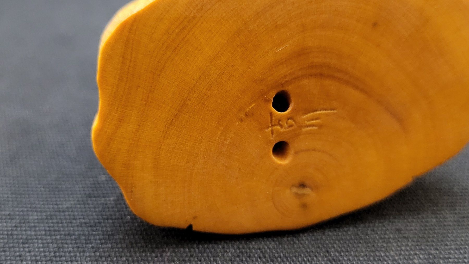 Figurines: Netsuke DRACHE signiert – D'occasion à Basel par spinne02 8