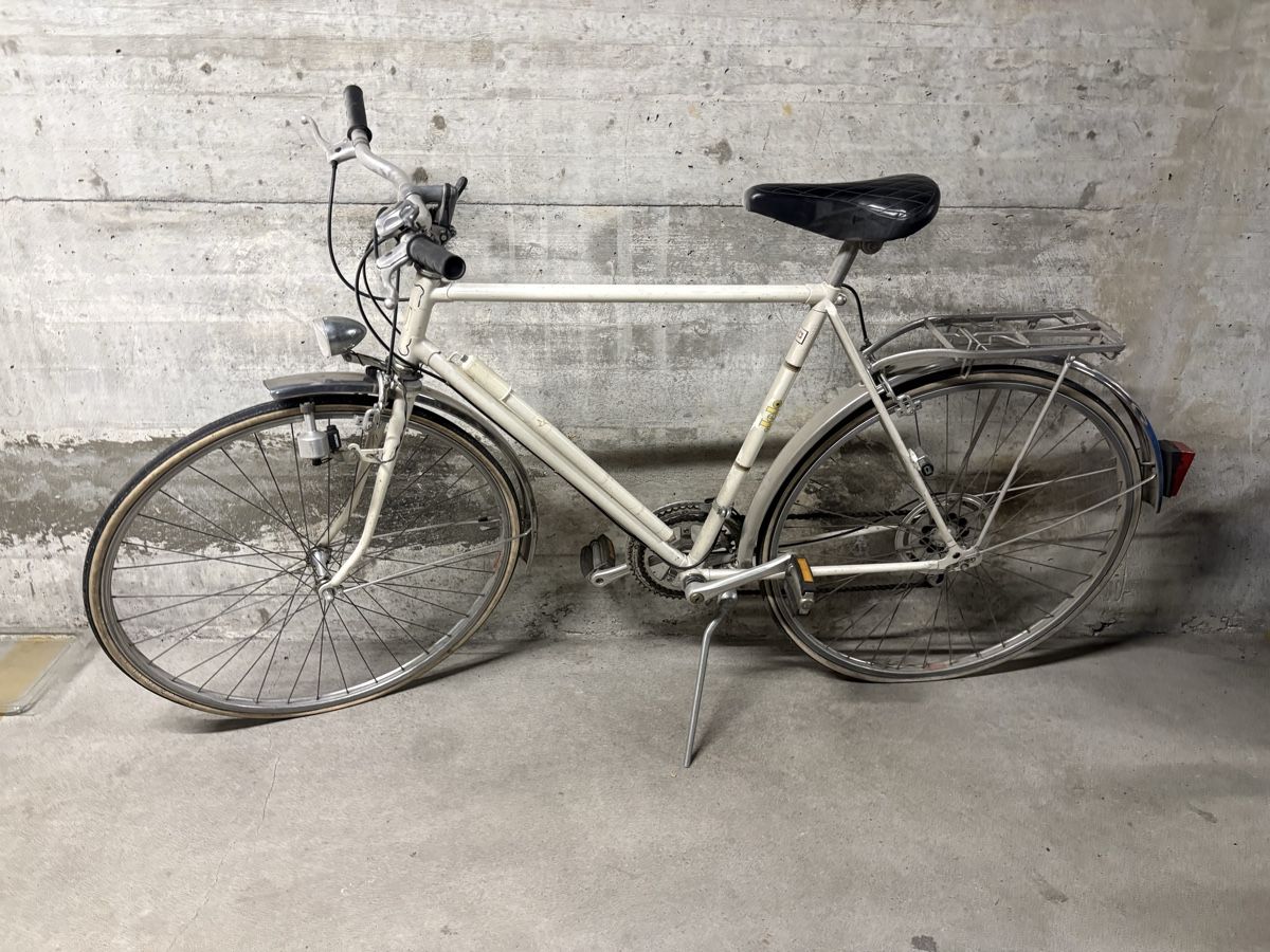 Vélos: 5 Velos – D'occasion à Dietlikon par singa11 2