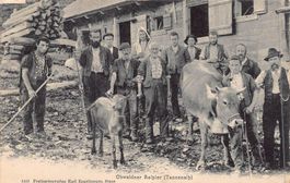 Tannenalp Bauernhaus  Obwaldner  Aelpler