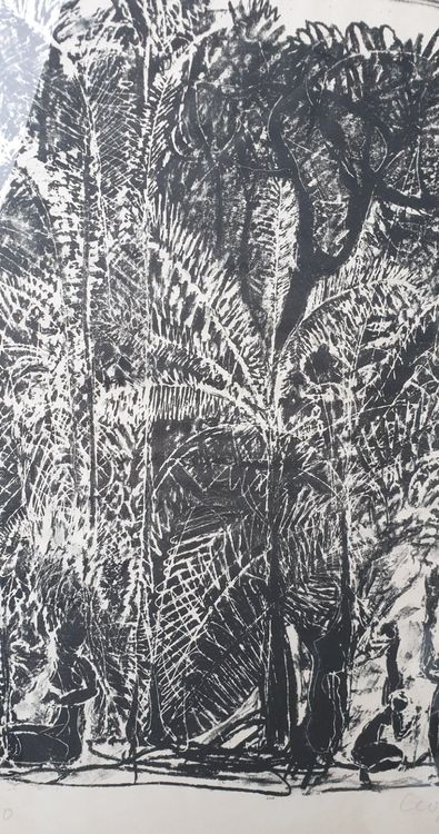Lithographie Leopoldo Richter 5