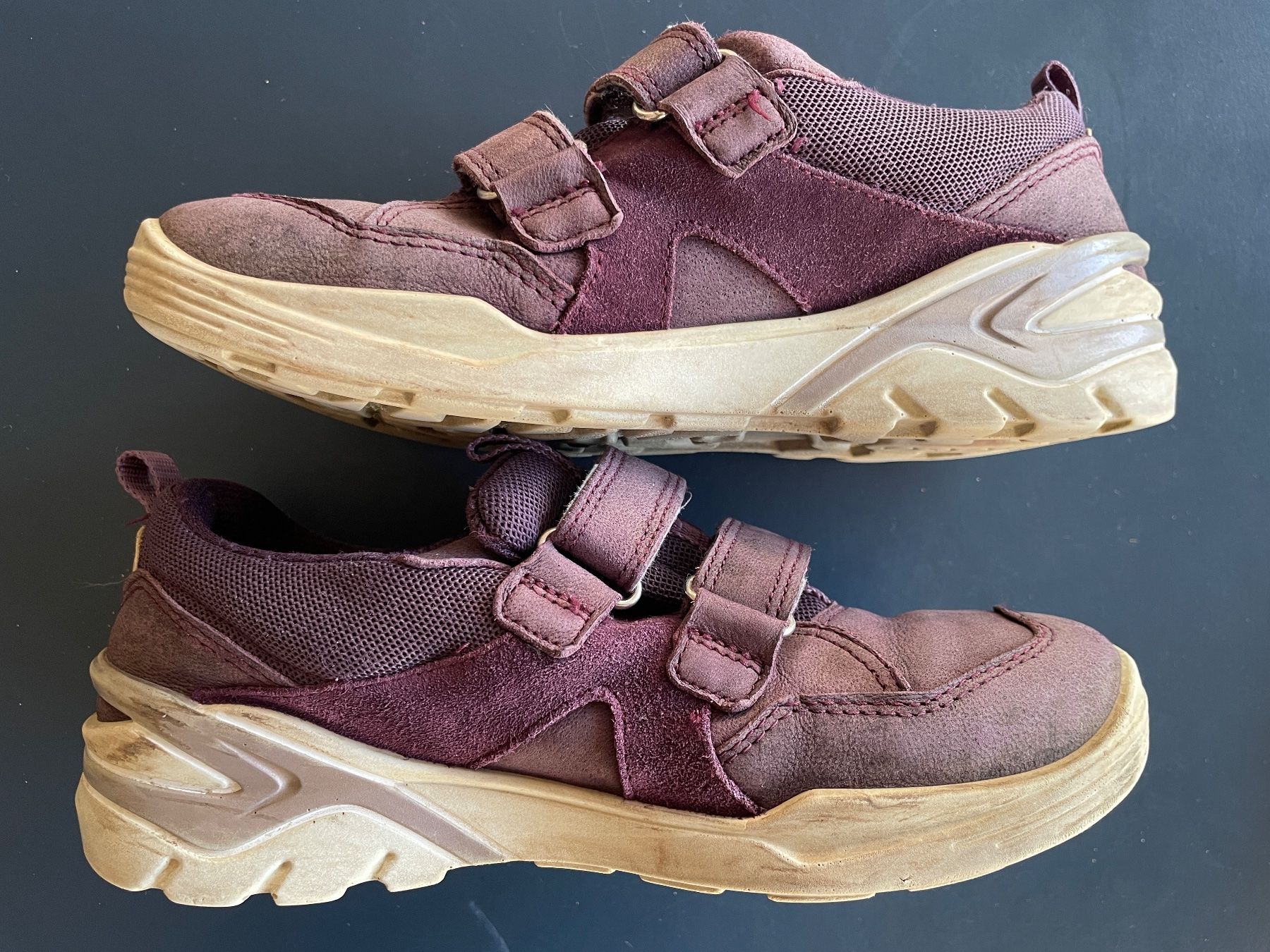 Ecco Scarpe per ragazzi: Grösse 34 Goretex Ecco Biom Halbschuhe Kinder violett – Usato da Winterthur venduto da calbecht 1