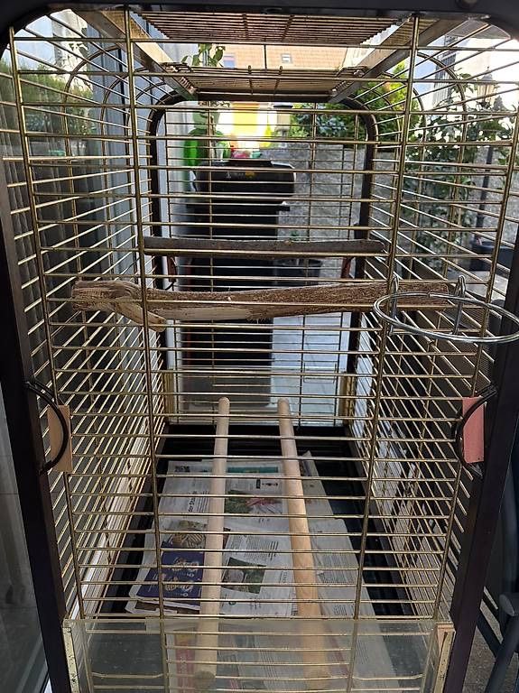 Gabbie, trasporto & Sicurezza: Vogelkäfig in einem guten Zustand – Usato da Othmarsingen venduto da Meenu2000 2