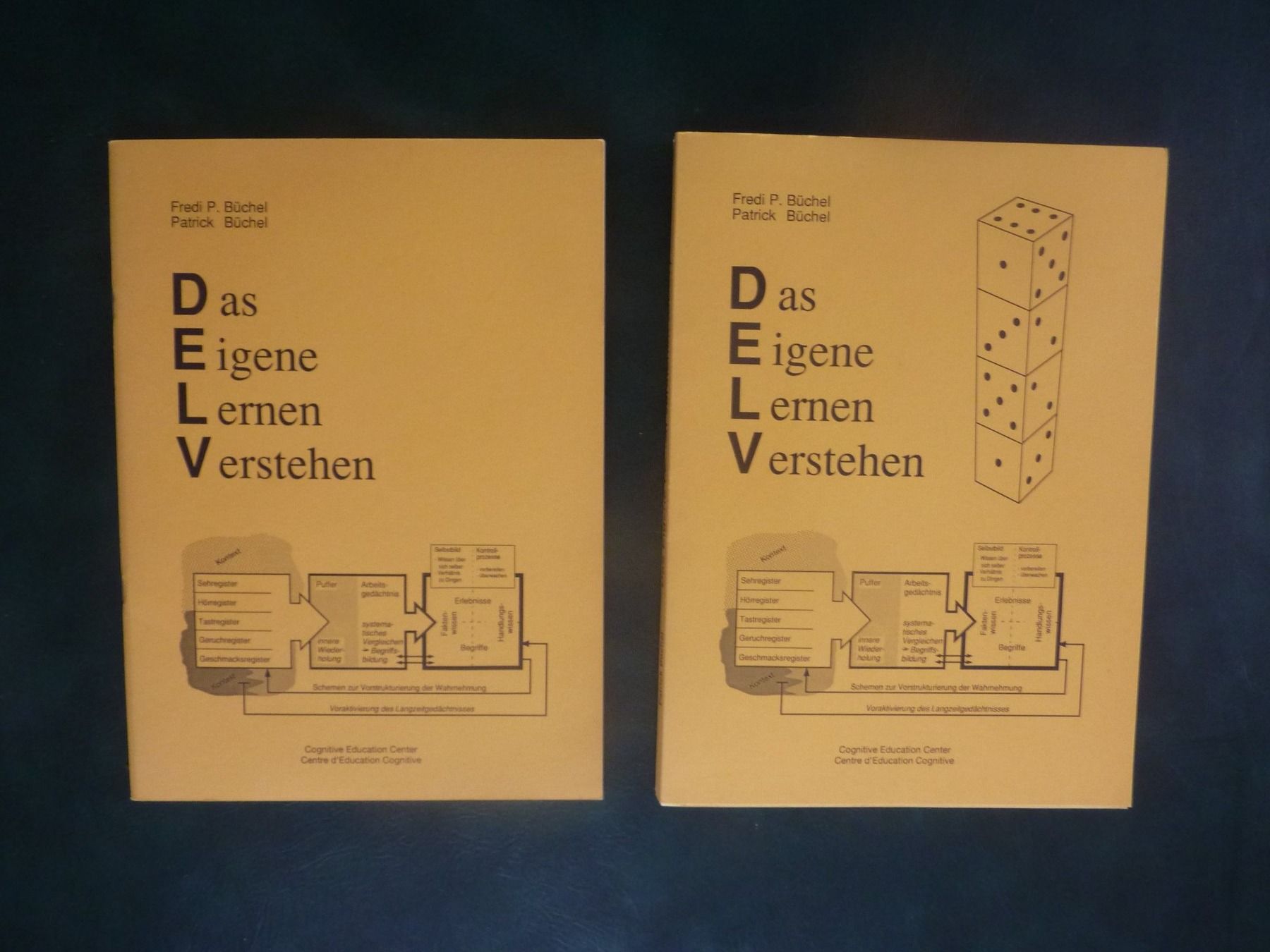 Bücher: DELV: Das eigene Lernen Verstehen – Gebraucht aus Triengen von Nussbaum14