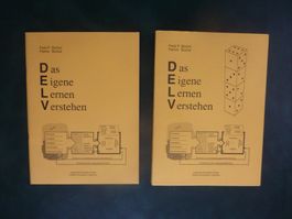 DELV: Das eigene Lernen Verstehen