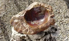 Edelstein Schale Achat Jaspis Geode Idar-Oberstein, 1,1 kg