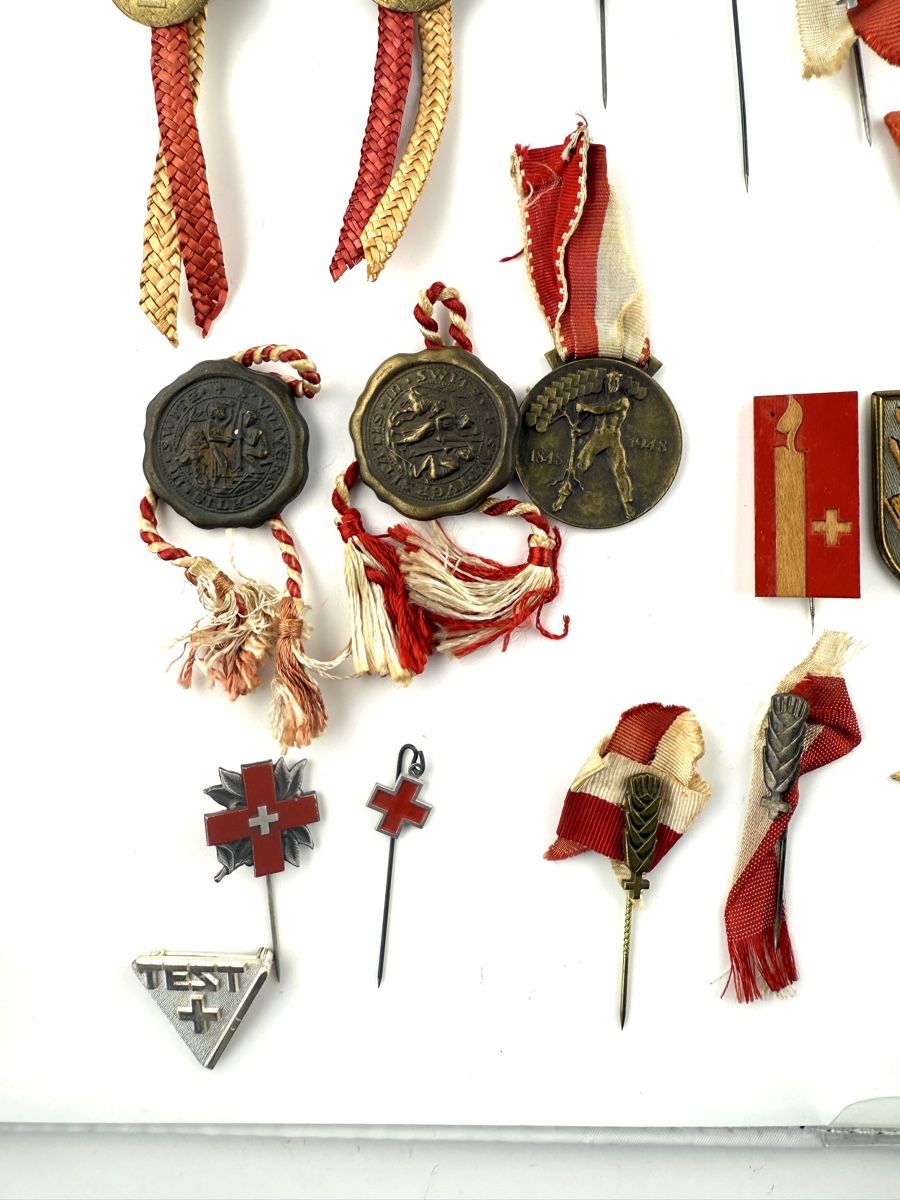 Swiss Placchette & Badge: Sammlung historischer Schweizer Festabzeichen ab 1920 – Usato da Zürich venduto da Geniuss 5