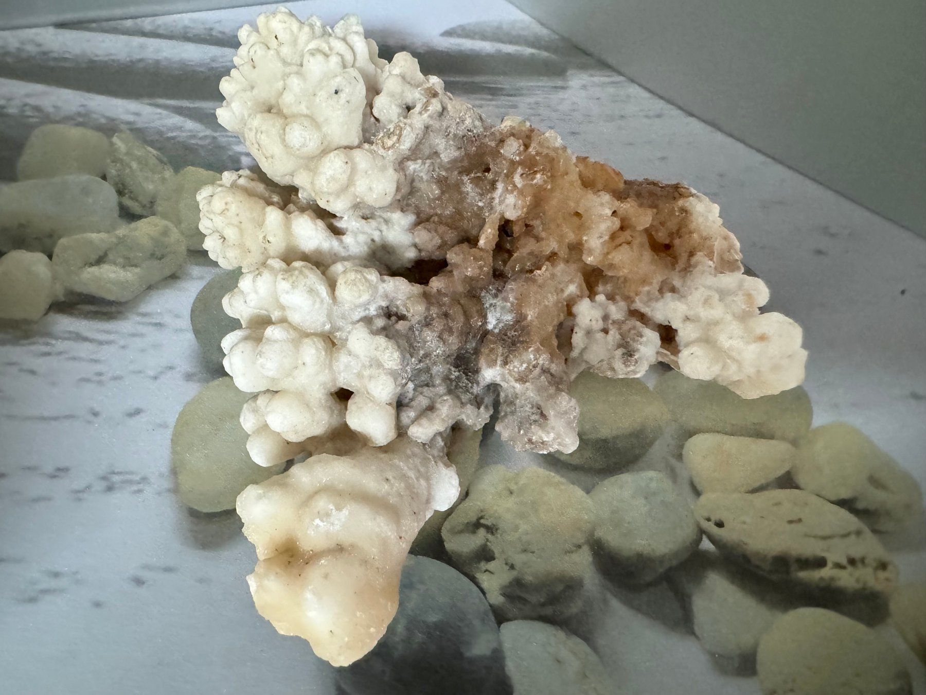 Mineralien & Heilsteine: Calcit-Stufe Korallenform – Neu (gemäss Beschreibung) aus Biberist von Steine 1