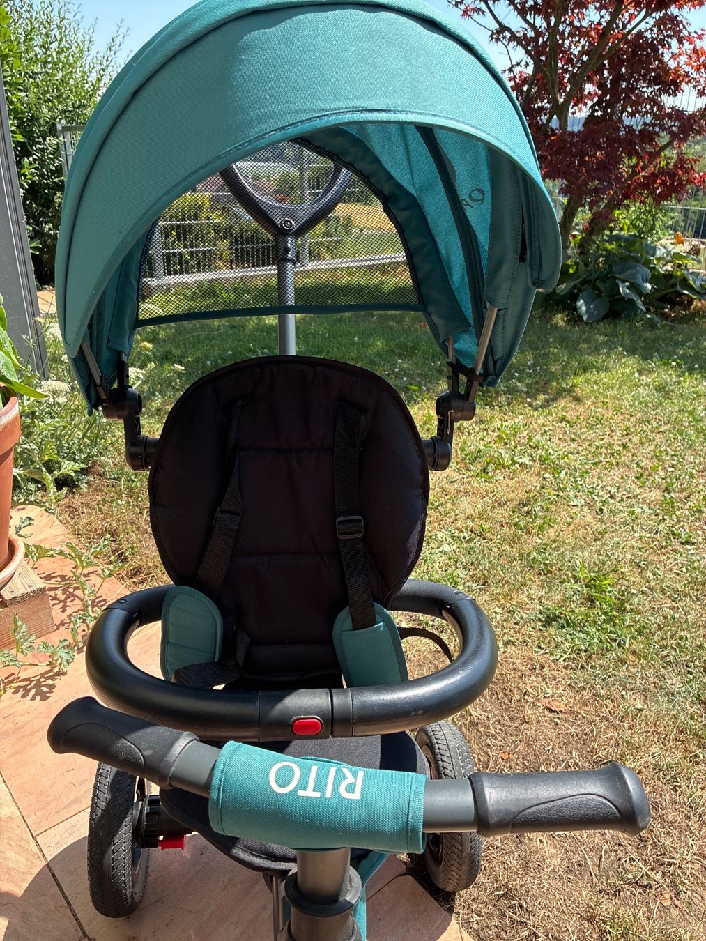Veicoli per bambini: Dreirad von QPlay, Rito, türkis – Usato da Eggenwil venduto da mic_b5l2 1