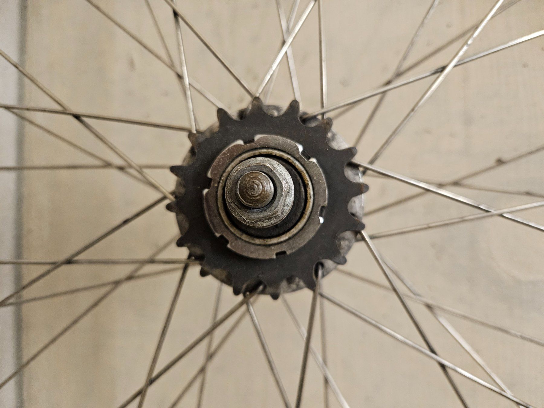 Cerchioni: Single Speed / Fixie Laufradsatz 26" – Usato da Zürich venduto da dom_7d9b 1