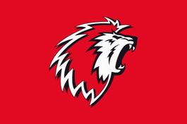 LHC-Geneve 1 place assise secteur 224 30.9.26(abo)