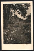 AK Schiers, Maria, Wegpartie im Tal