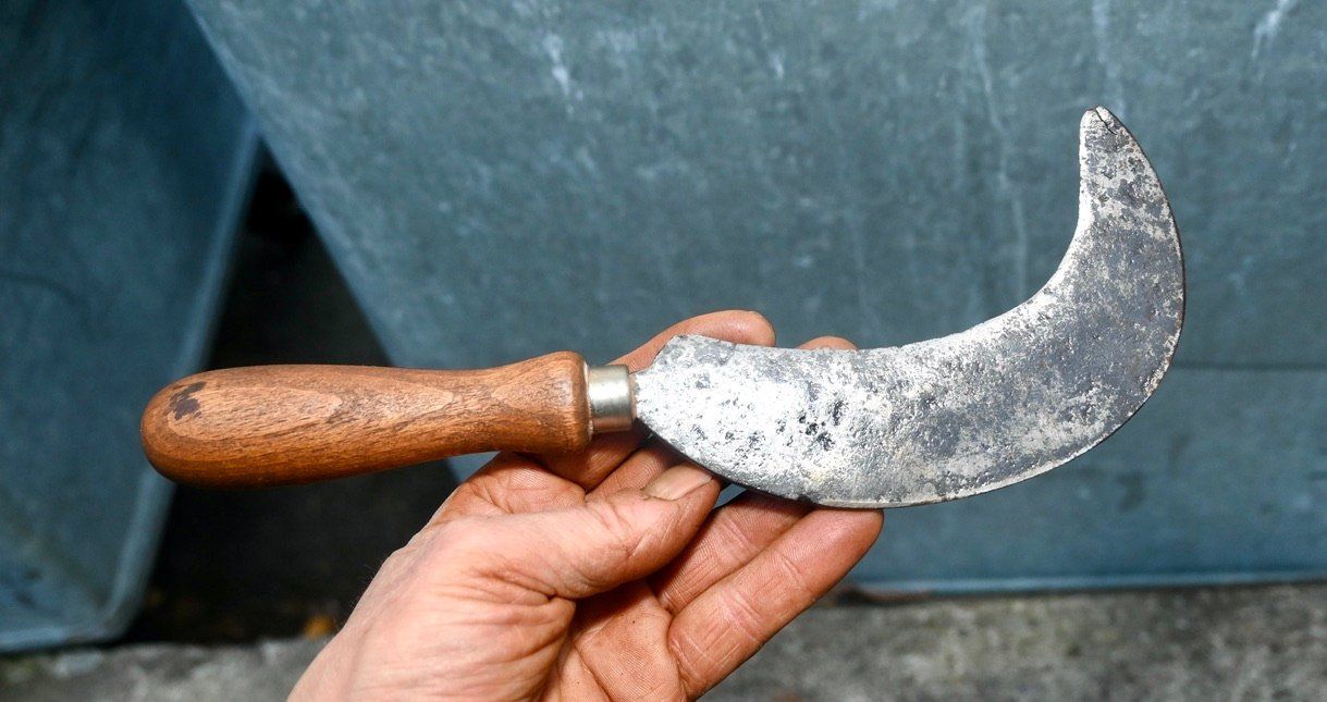 Tutti gli attrezzi: ANTIKE Handsichel Länge ca. 26cm – Usato da Pfaffhausen venduto da mono_rec 5