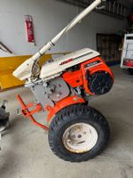 Motorhacke Kubota TF40