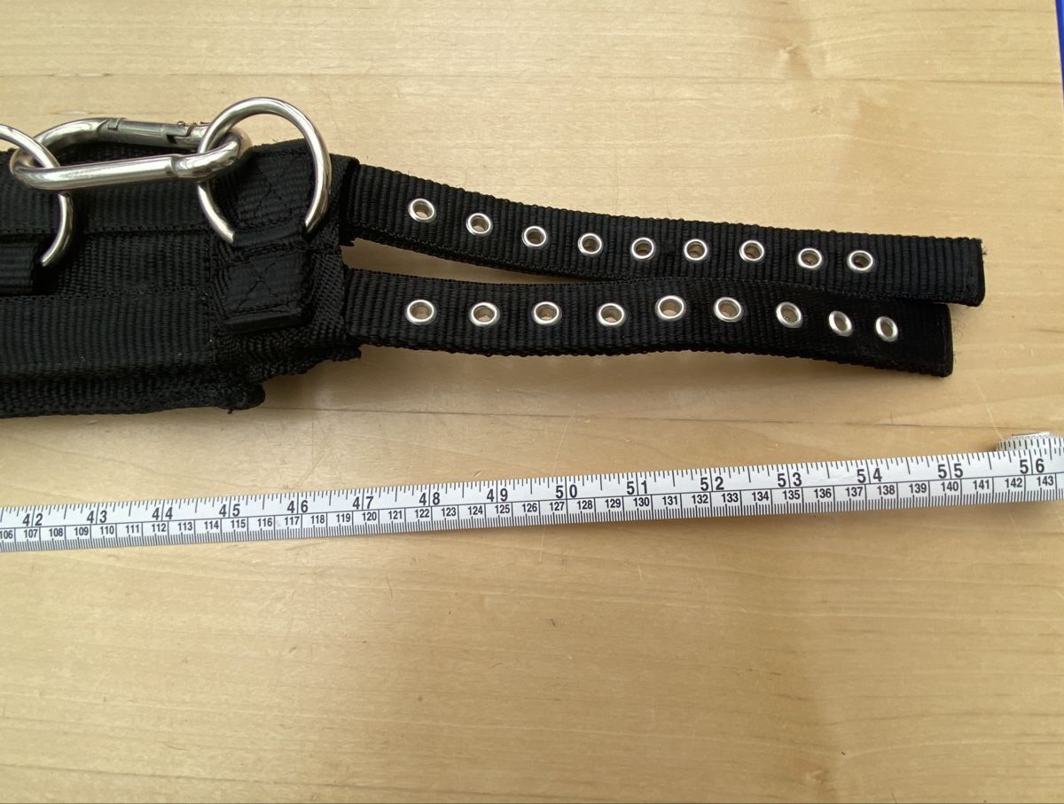 Selles, accessoires: Longiergurt – D'occasion à Schenkon par ami_8cbt 3