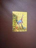 Panini 2026 sticker nummer 00