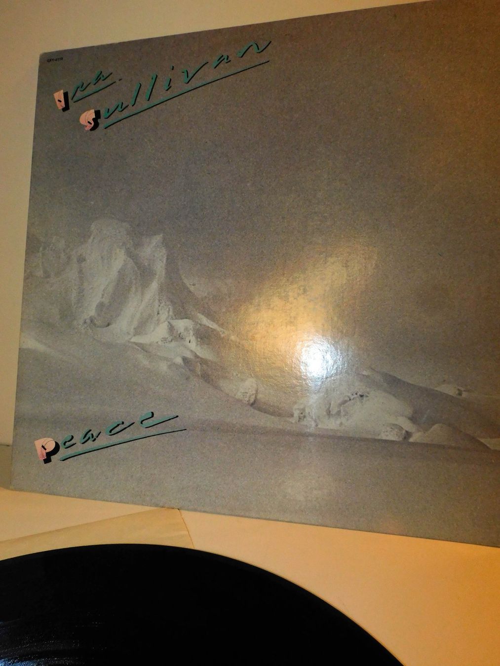 Schallplatten: Lp Schallplatte Ira Sullivan 1979   Lp – Gebraucht aus Sursee von 76 1