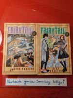 Fairy Tail Manga, Band 2 & 3, Carlsen Manga, Top Zustand!