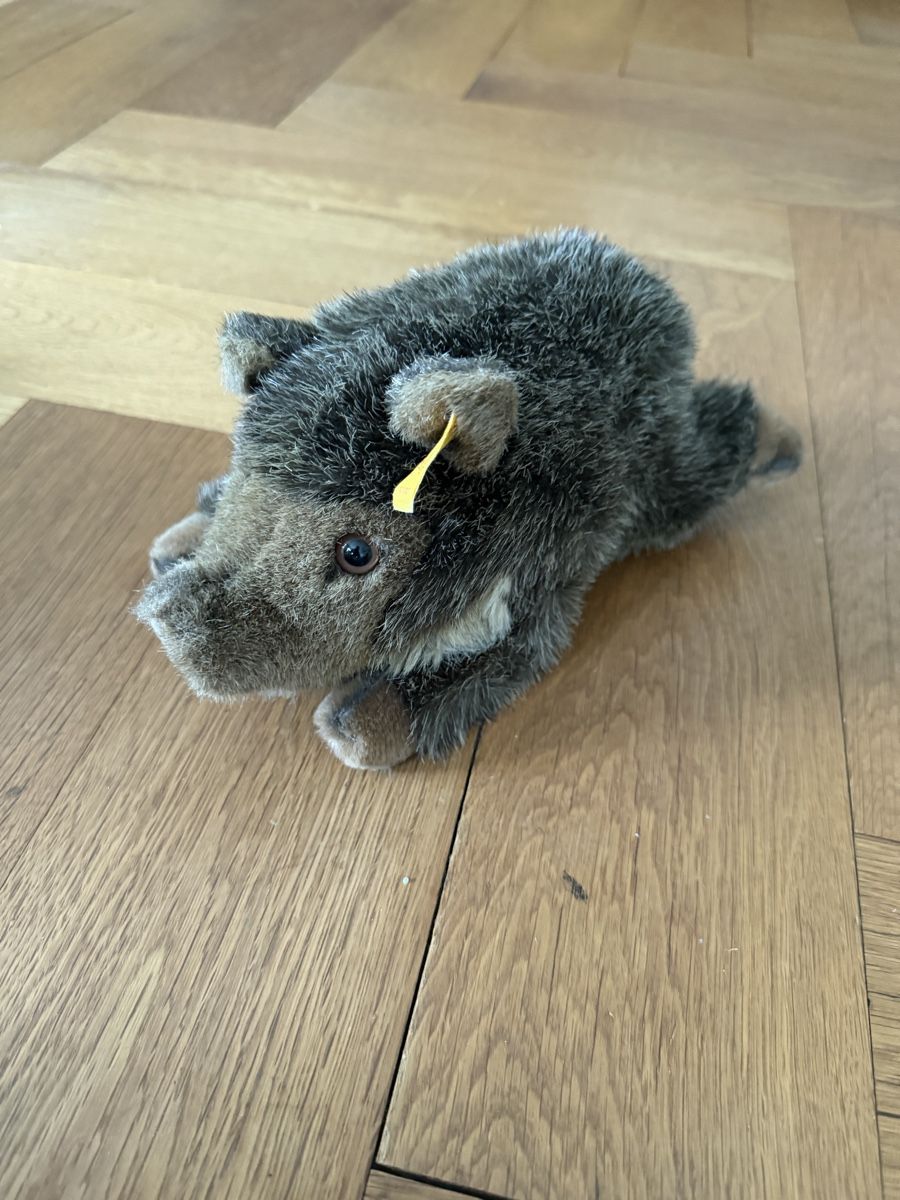 Steiff Spielzeuge: Steiff Wildschwein Plüschtier – Neu (gemäss Beschreibung) aus Zürich von chi_9dfb