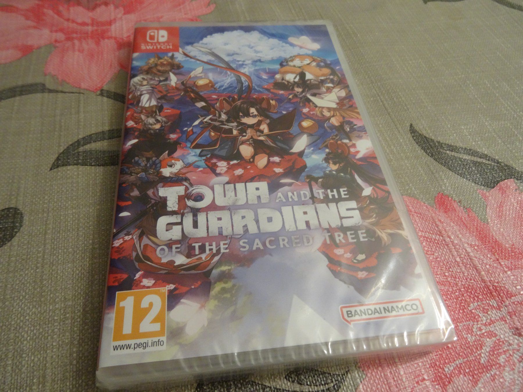 Nintendo Giochi: Towa and the Guardians Switch - NEUWARE – Usato da Olten venduto da Disc-Ausverkauf