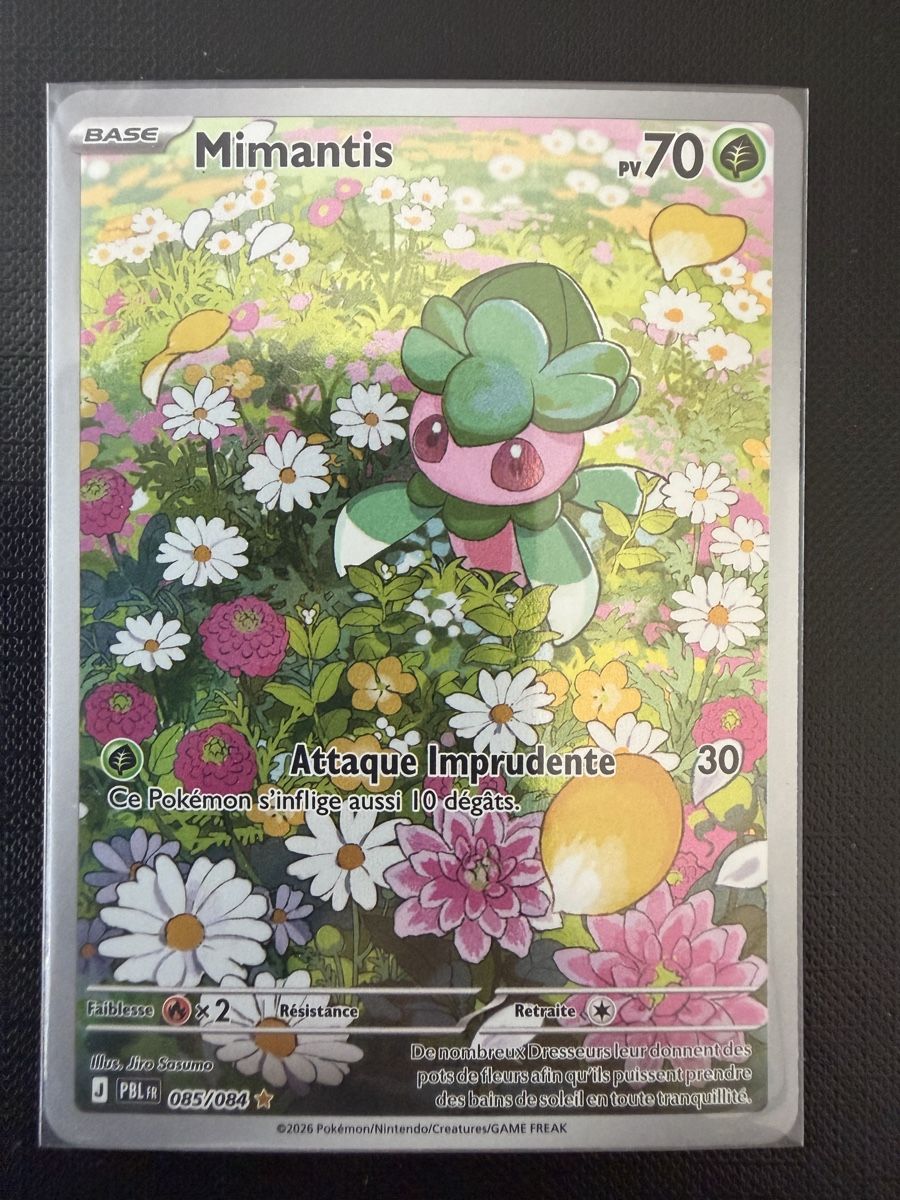 Pokémon Cartes à collectionner: Mimantis #085 PBL FR – Neuf (Voir description) à Savigny par Matgab94