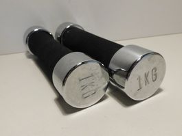 Hantel 2 Hanteln a je 1 kg   gebraucht