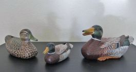 Chinesische Jagdenten 3 für 2