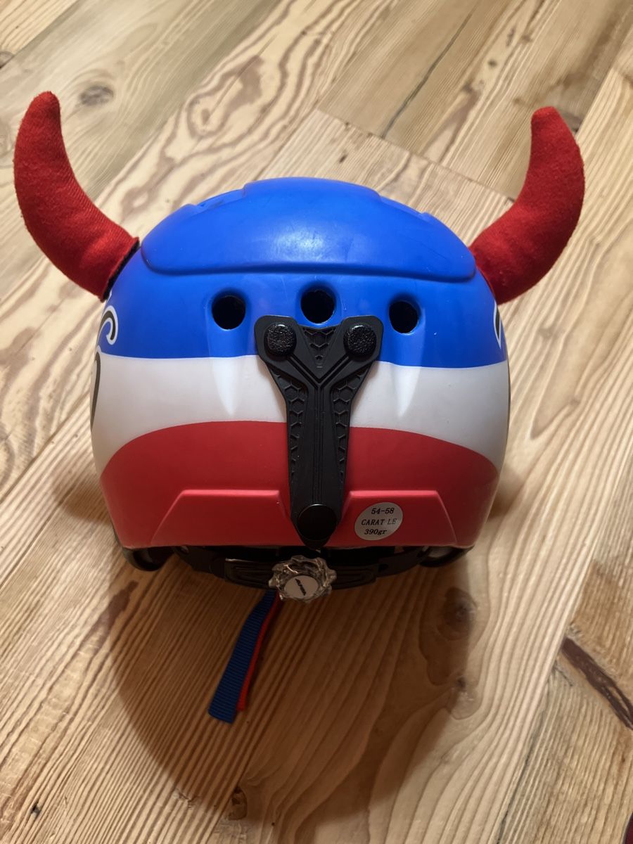 Caschi: Skihelm Alpina – Usato da Rüschlikon venduto da ant_5v7g 3