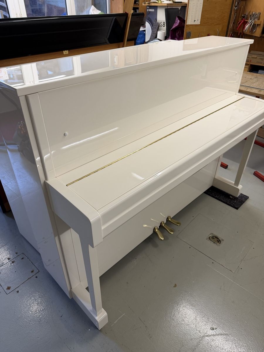 Yamaha Strumenti musicali: Yamaha B2 PWH – Usato da Niederhasli venduto da Musikhaus-Ammann