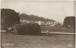 Landwirtschaft/Heuen/chariot de foin 1920 Le Seniter VD