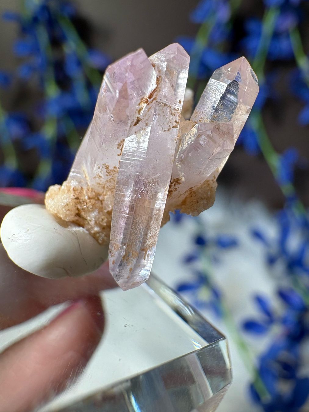 Pietre preziose: Veracruz Amethyst – Nuovo (secondo la descrizione) da Neuheim venduto da m.hald 1