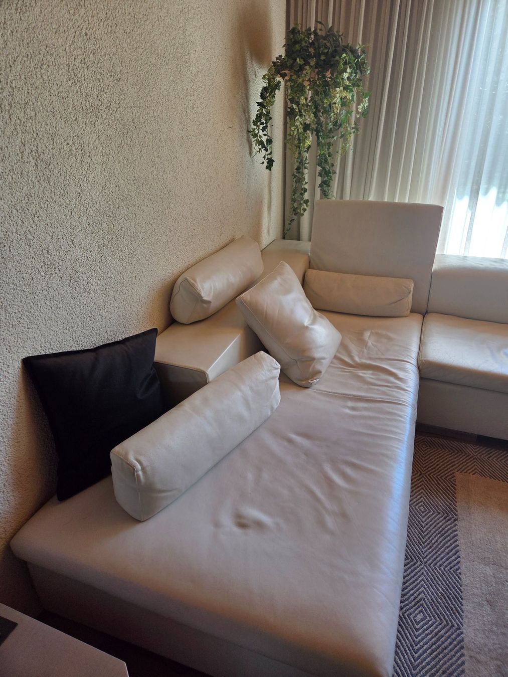 Sofas: Ledersofa – Gebraucht aus Jegenstorf von cla_d57p 1